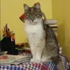 Отзыв от Наталия Шульгина